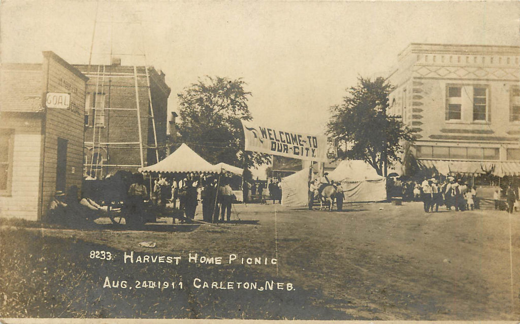 Carleton - Nebraska - 1911 Harvest Home Picnic - Thayer County- RPPC