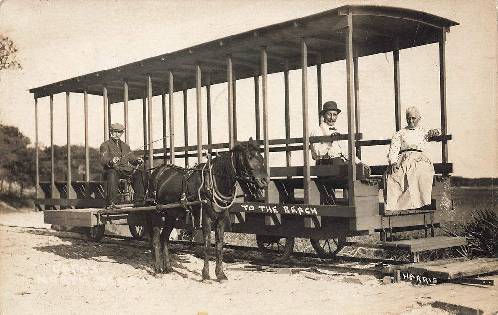 St Augustine Florida FL - Horse Trolley - Crisp Original Real Photograph