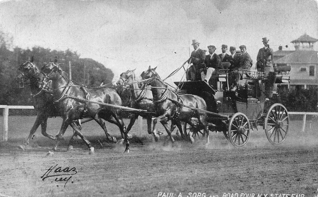 Paul A. Sorg - Show Horses - Stagecoach - Road Four - NY State Fair