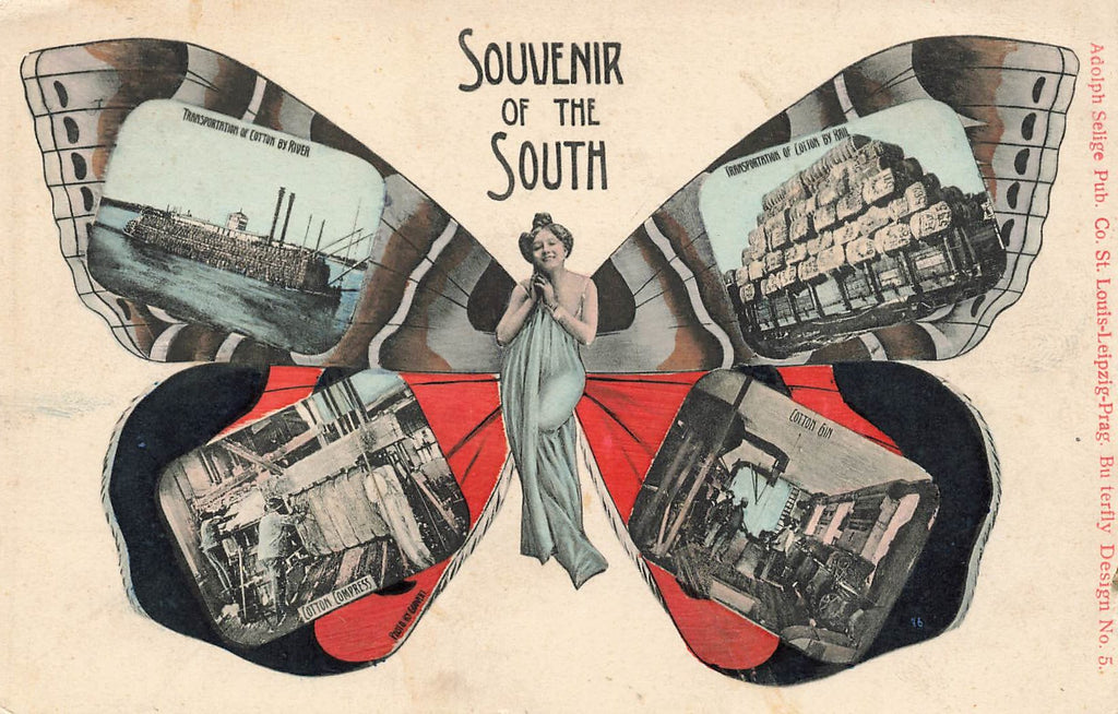 Butterfly Woman - COTTON gin, press, transportation, - Souvenir of South - Selige